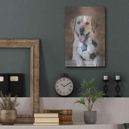 Luxe Metal Art 'Playtime' by Lori Deiter, Metal Wall Art,12x16