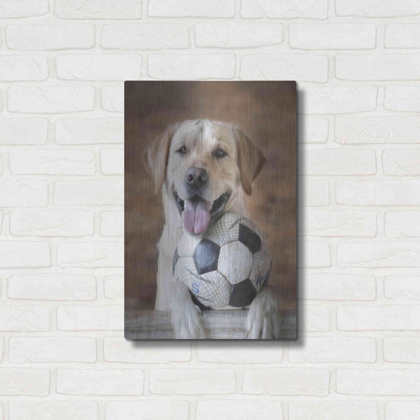 Luxe Metal Art 'Playtime' by Lori Deiter, Metal Wall Art,16x24