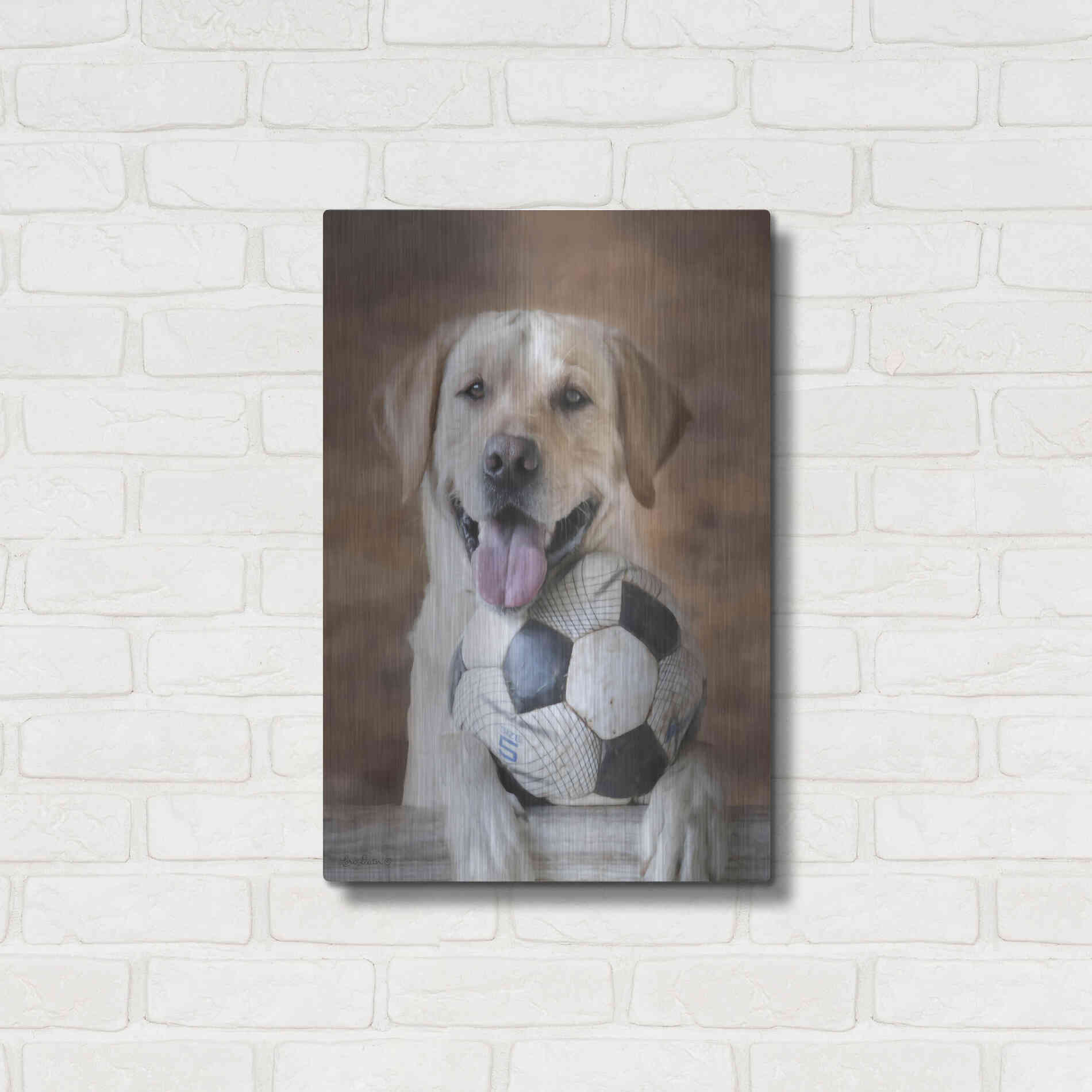 Luxe Metal Art 'Playtime' by Lori Deiter, Metal Wall Art,16x24