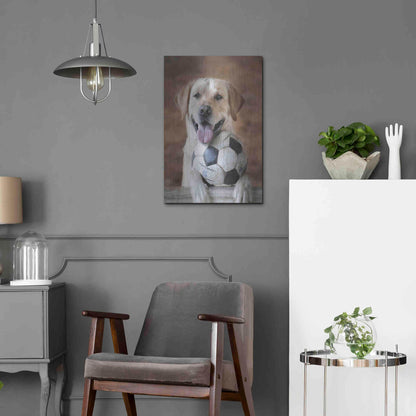 Luxe Metal Art 'Playtime' by Lori Deiter, Metal Wall Art,16x24