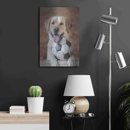 Luxe Metal Art 'Playtime' by Lori Deiter, Metal Wall Art,16x24