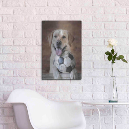 Luxe Metal Art 'Playtime' by Lori Deiter, Metal Wall Art,16x24