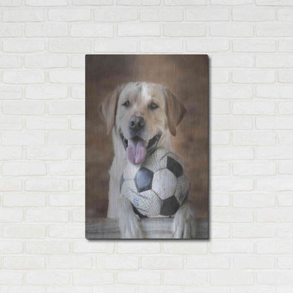 Luxe Metal Art 'Playtime' by Lori Deiter, Metal Wall Art,24x36