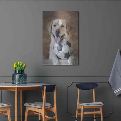 Luxe Metal Art 'Playtime' by Lori Deiter, Metal Wall Art,24x36