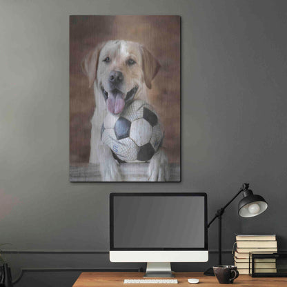 Luxe Metal Art 'Playtime' by Lori Deiter, Metal Wall Art,24x36