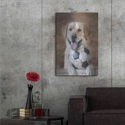 Luxe Metal Art 'Playtime' by Lori Deiter, Metal Wall Art,24x36