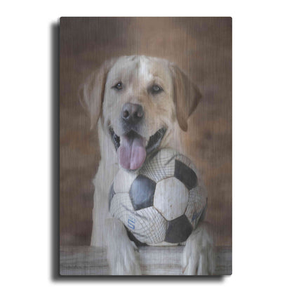 Luxe Metal Art 'Playtime' by Lori Deiter, Metal Wall Art