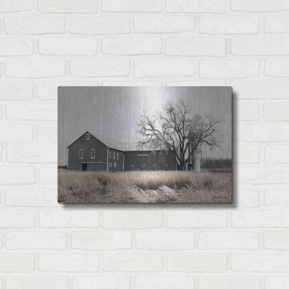 Luxe Metal Art 'Ohio Fields II' by Lori Deiter, Metal Wall Art,24x16