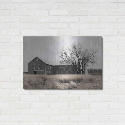 Luxe Metal Art 'Ohio Fields II' by Lori Deiter, Metal Wall Art,36x24