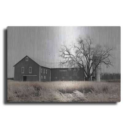 Luxe Metal Art 'Ohio Fields II' by Lori Deiter, Metal Wall Art