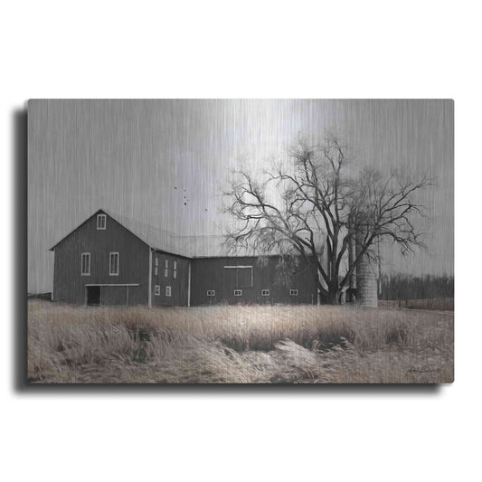 Luxe Metal Art 'Ohio Fields II' by Lori Deiter, Metal Wall Art