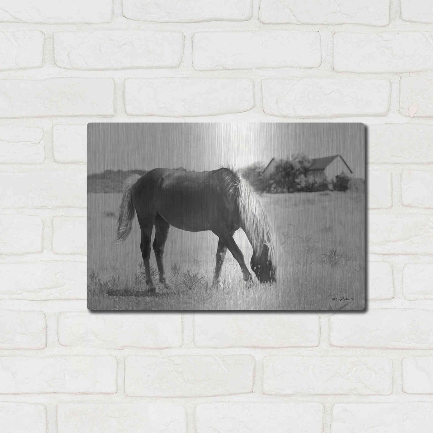 Luxe Metal Art 'Summer Grazing' by Lori Deiter, Metal Wall Art,16x12