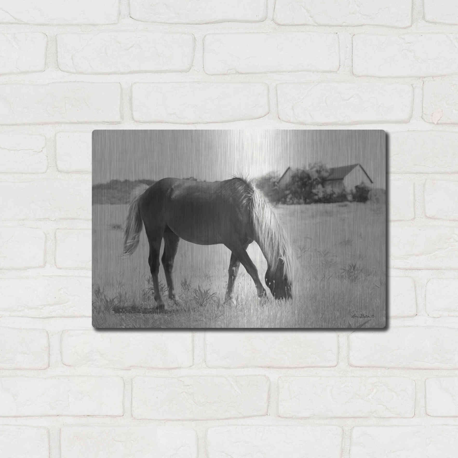 Luxe Metal Art 'Summer Grazing' by Lori Deiter, Metal Wall Art,16x12