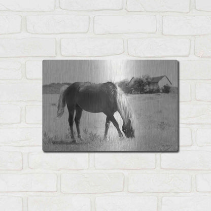 Luxe Metal Art 'Summer Grazing' by Lori Deiter, Metal Wall Art,16x12