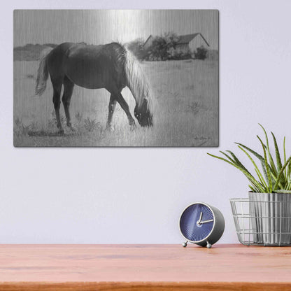 Luxe Metal Art 'Summer Grazing' by Lori Deiter, Metal Wall Art,16x12