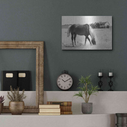 Luxe Metal Art 'Summer Grazing' by Lori Deiter, Metal Wall Art,16x12