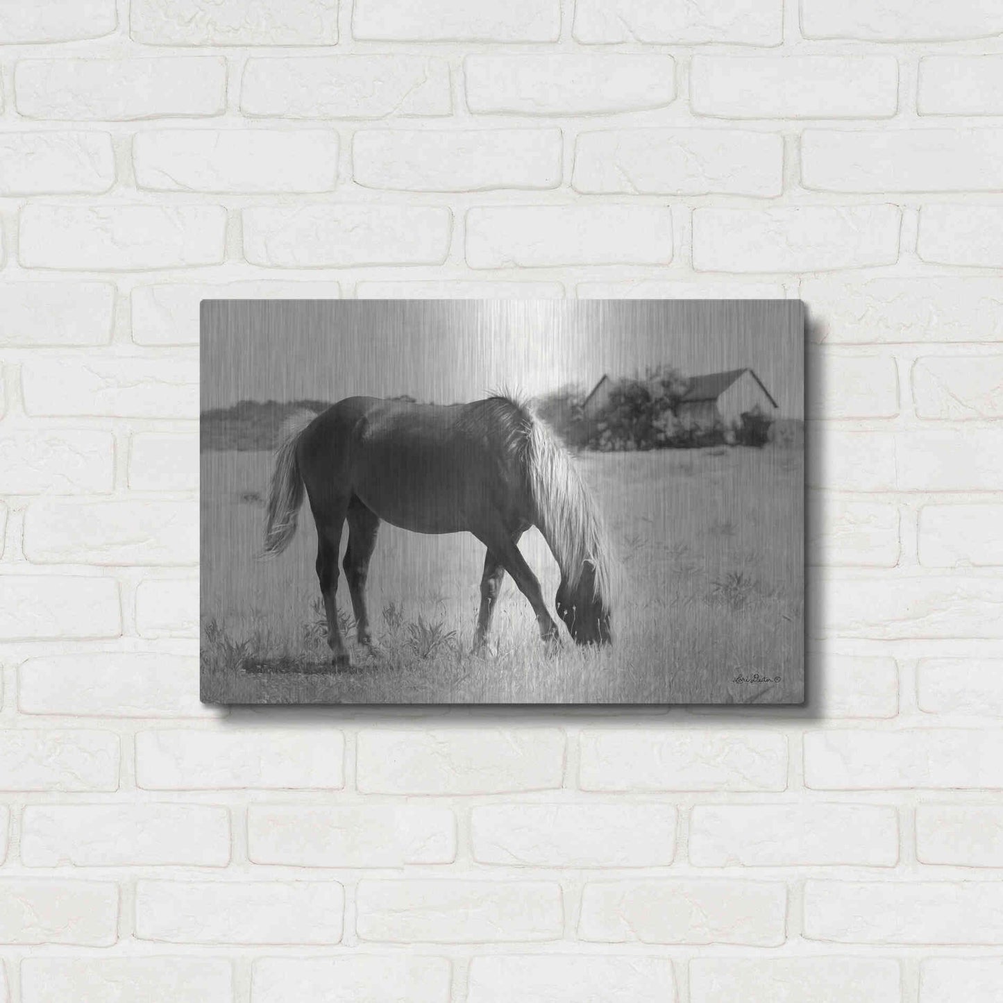 Luxe Metal Art 'Summer Grazing' by Lori Deiter, Metal Wall Art,24x16
