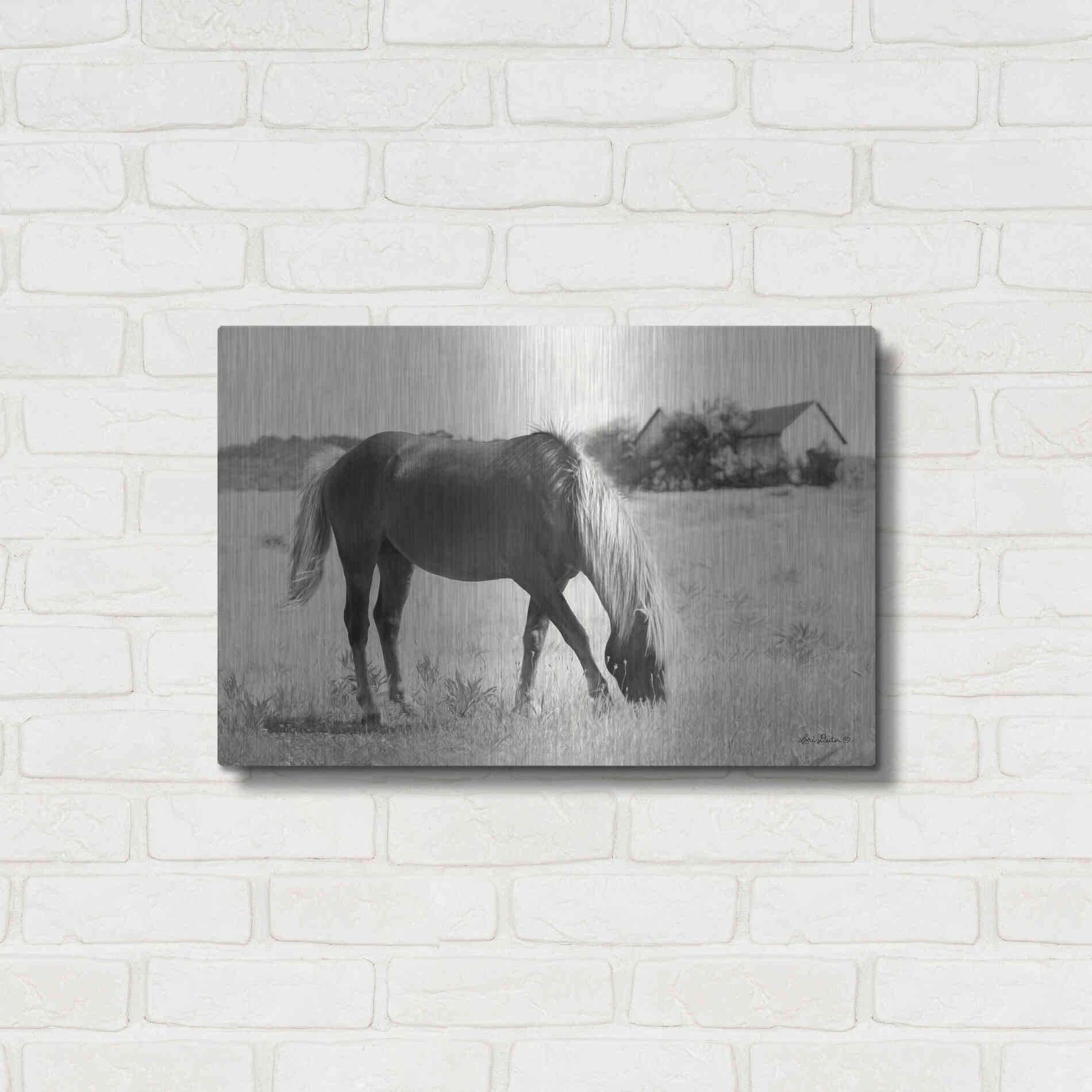 Luxe Metal Art 'Summer Grazing' by Lori Deiter, Metal Wall Art,24x16