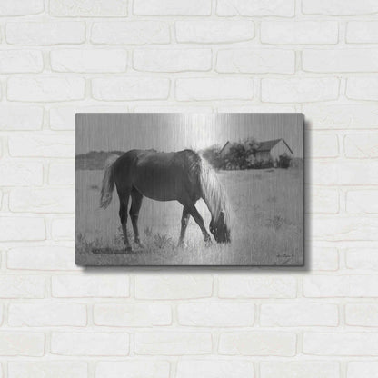 Luxe Metal Art 'Summer Grazing' by Lori Deiter, Metal Wall Art,24x16