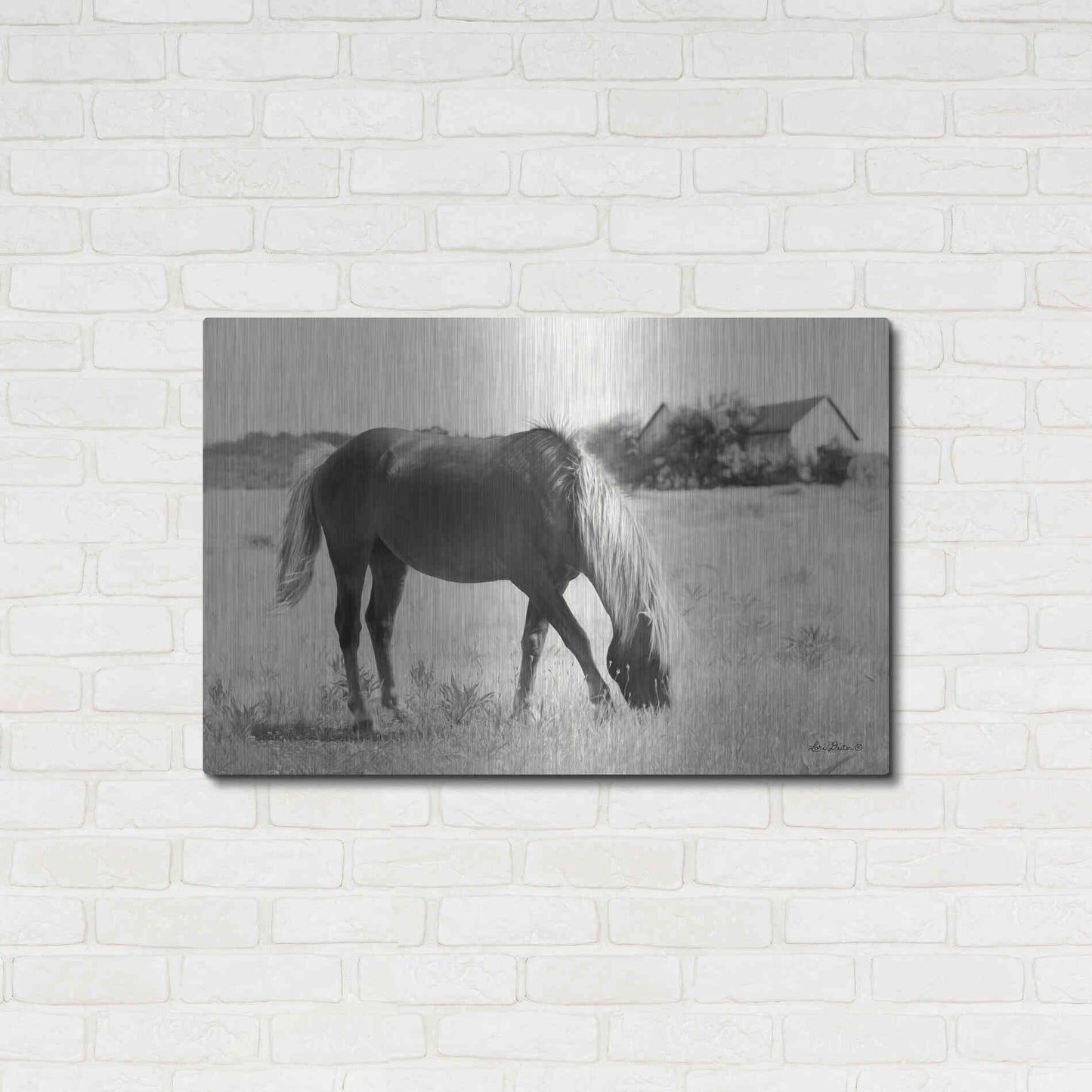 Luxe Metal Art 'Summer Grazing' by Lori Deiter, Metal Wall Art,36x24