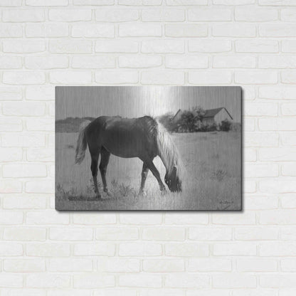 Luxe Metal Art 'Summer Grazing' by Lori Deiter, Metal Wall Art,36x24