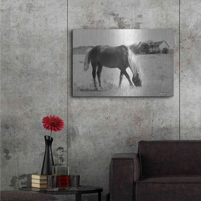 Luxe Metal Art 'Summer Grazing' by Lori Deiter, Metal Wall Art,36x24