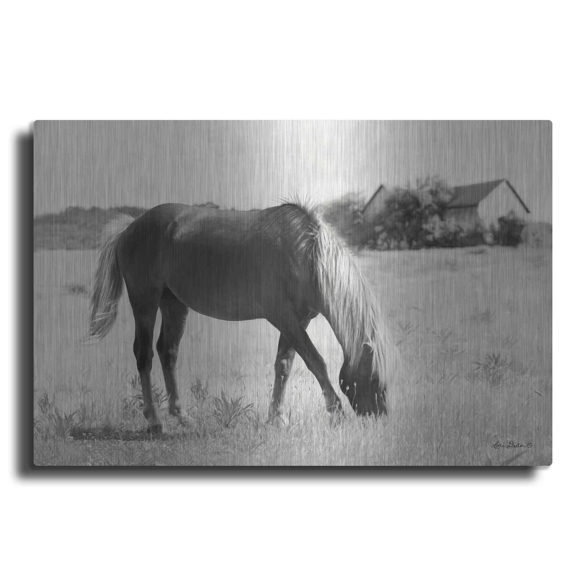 Luxe Metal Art 'Summer Grazing' by Lori Deiter, Metal Wall Art