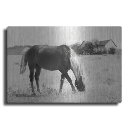Luxe Metal Art 'Summer Grazing' by Lori Deiter, Metal Wall Art