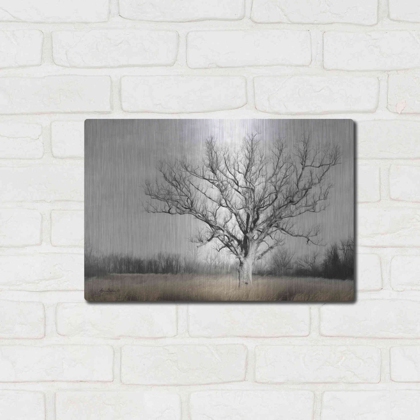 Luxe Metal Art 'Earth & Sky' by Lori Deiter, Metal Wall Art,16x12