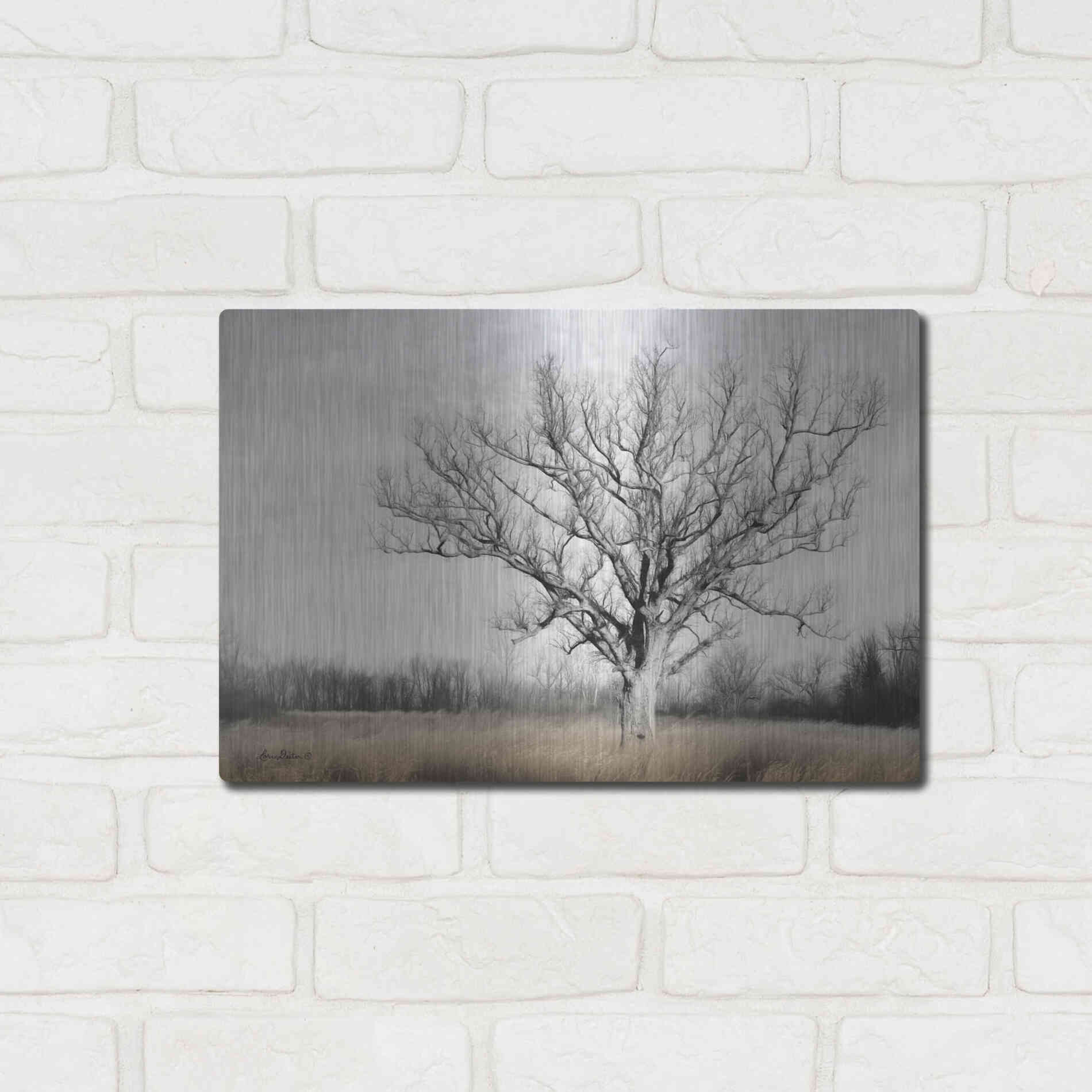 Luxe Metal Art 'Earth & Sky' by Lori Deiter, Metal Wall Art,16x12