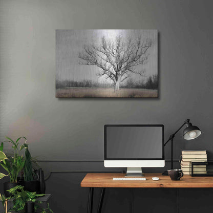 Luxe Metal Art 'Earth & Sky' by Lori Deiter, Metal Wall Art,36x24