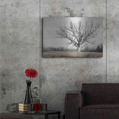 Luxe Metal Art 'Earth & Sky' by Lori Deiter, Metal Wall Art,36x24