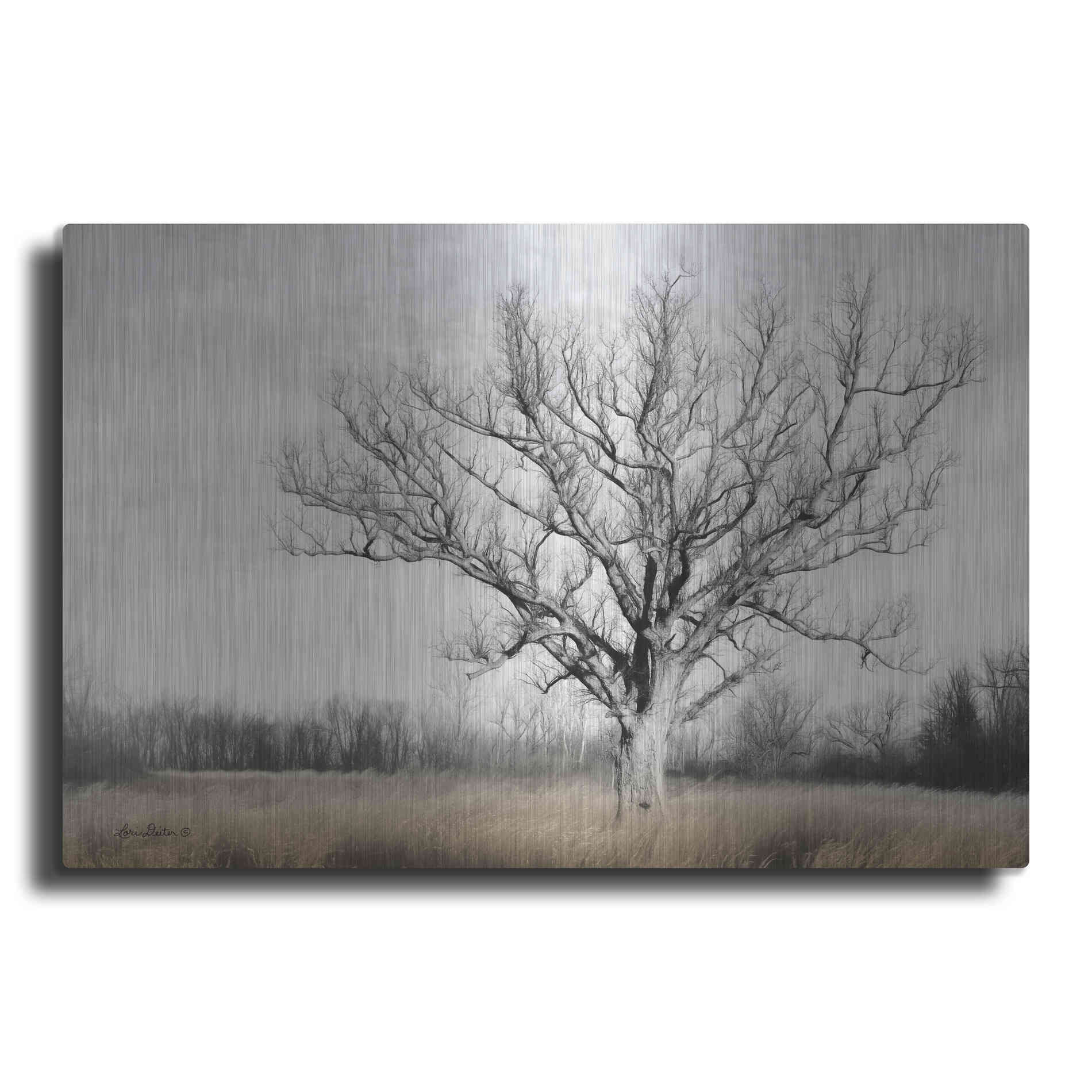 Luxe Metal Art 'Earth & Sky' by Lori Deiter, Metal Wall Art