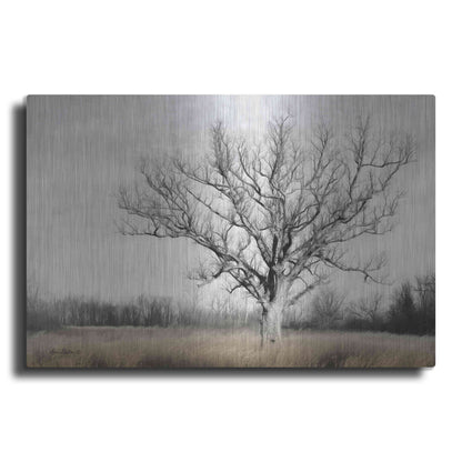 Luxe Metal Art 'Earth & Sky' by Lori Deiter, Metal Wall Art