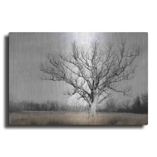 Luxe Metal Art 'Earth & Sky' by Lori Deiter, Metal Wall Art