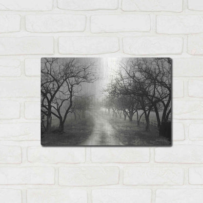 Luxe Metal Art 'Foggy Lane' by Lori Deiter, Metal Wall Art,16x12