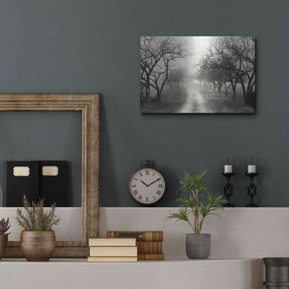 Luxe Metal Art 'Foggy Lane' by Lori Deiter, Metal Wall Art,16x12