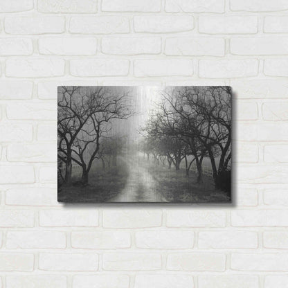 Luxe Metal Art 'Foggy Lane' by Lori Deiter, Metal Wall Art,24x16