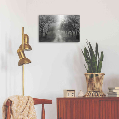 Luxe Metal Art 'Foggy Lane' by Lori Deiter, Metal Wall Art,24x16