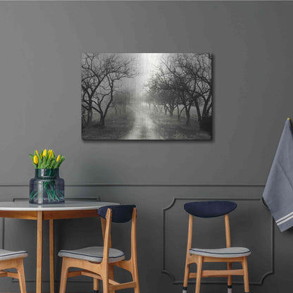Luxe Metal Art 'Foggy Lane' by Lori Deiter, Metal Wall Art,36x24