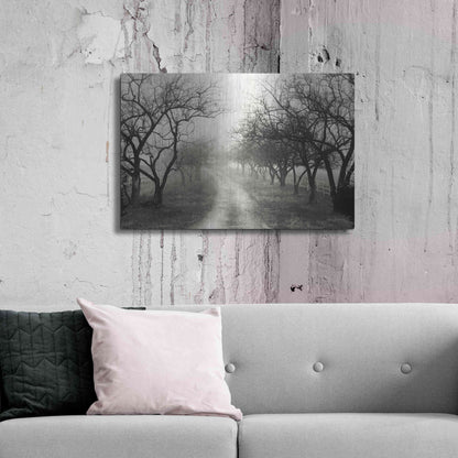 Luxe Metal Art 'Foggy Lane' by Lori Deiter, Metal Wall Art,36x24