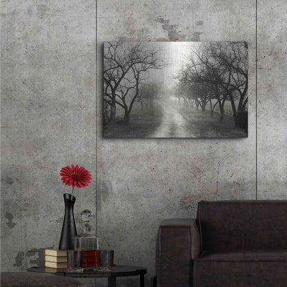 Luxe Metal Art 'Foggy Lane' by Lori Deiter, Metal Wall Art,36x24
