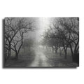 Luxe Metal Art 'Foggy Lane' by Lori Deiter, Metal Wall Art