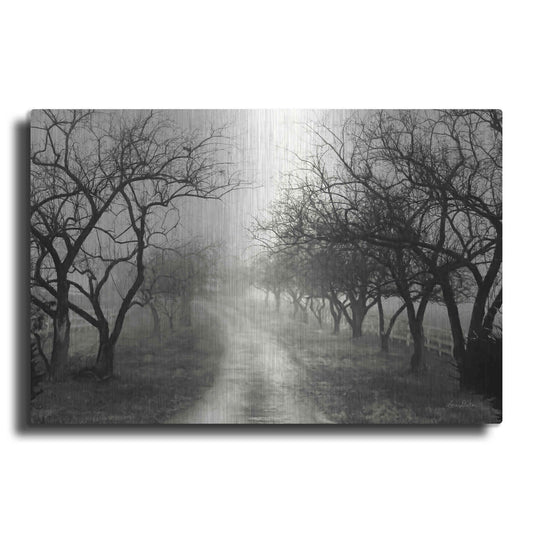 Luxe Metal Art 'Foggy Lane' by Lori Deiter, Metal Wall Art