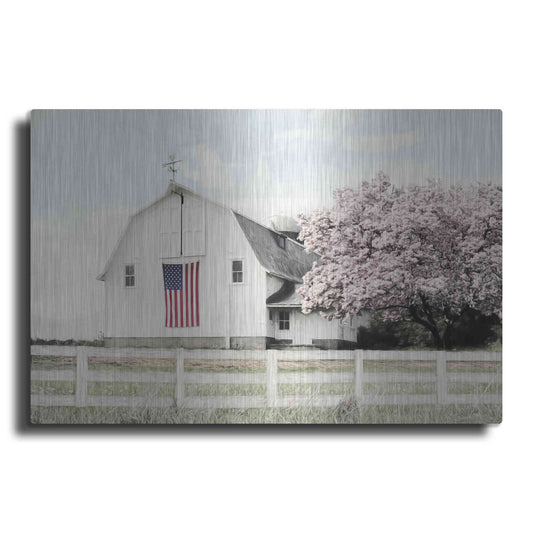 Luxe Metal Art 'Brownsville Patriot' by Lori Deiter, Metal Wall Art