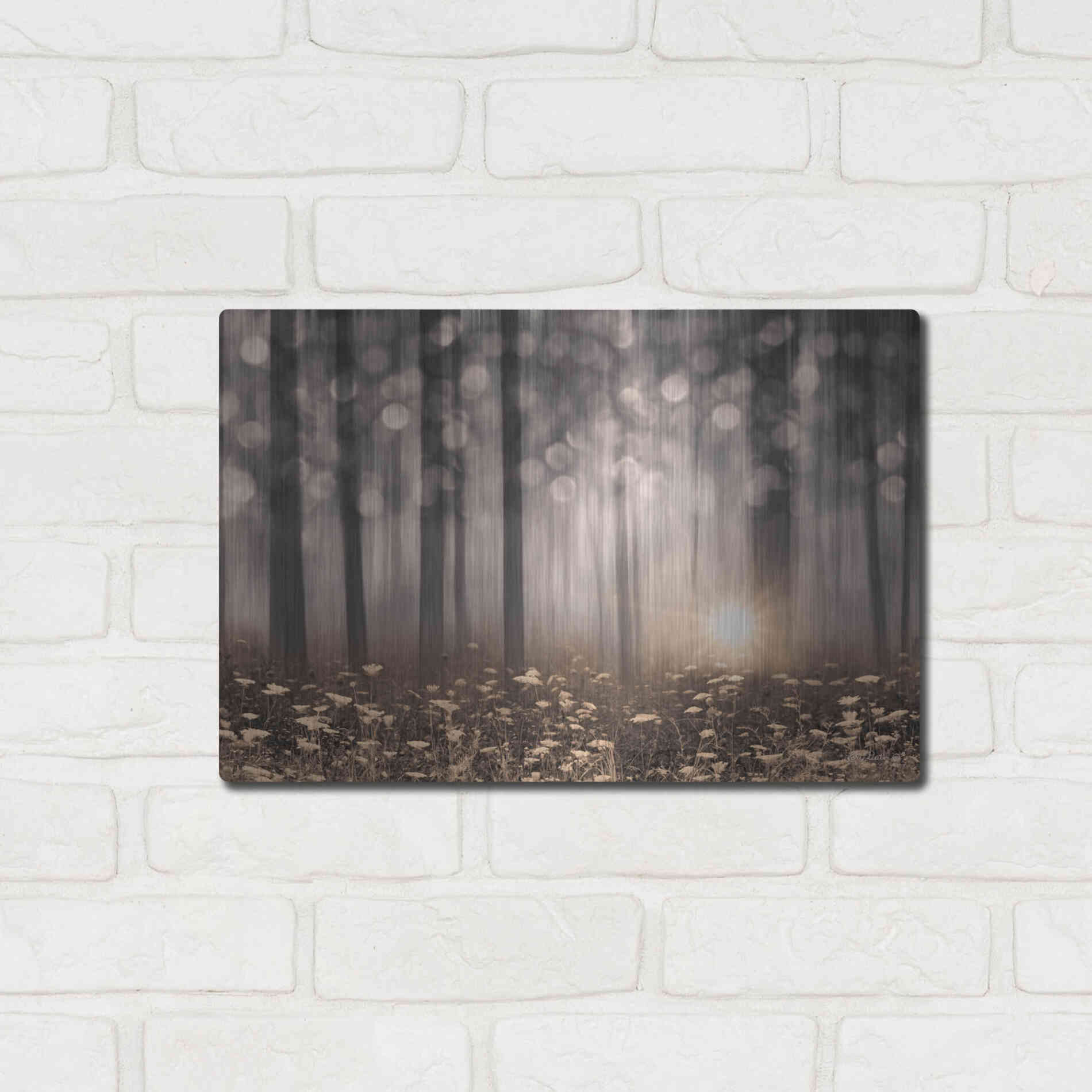 Luxe Metal Art 'Enchanted Morning' by Lori Deiter, Metal Wall Art,16x12