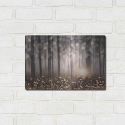 Luxe Metal Art 'Enchanted Morning' by Lori Deiter, Metal Wall Art,16x12