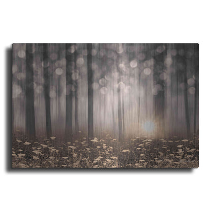 Luxe Metal Art 'Enchanted Morning' by Lori Deiter, Metal Wall Art