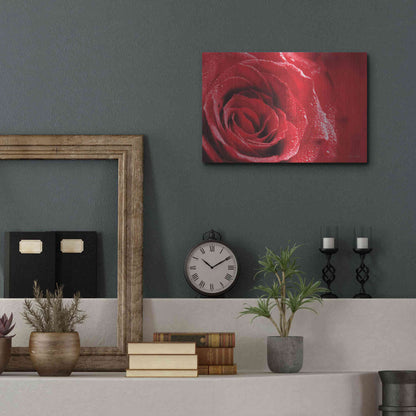 Luxe Metal Art 'Red Rose After Rain' by Lori Deiter, Metal Wall Art,16x12