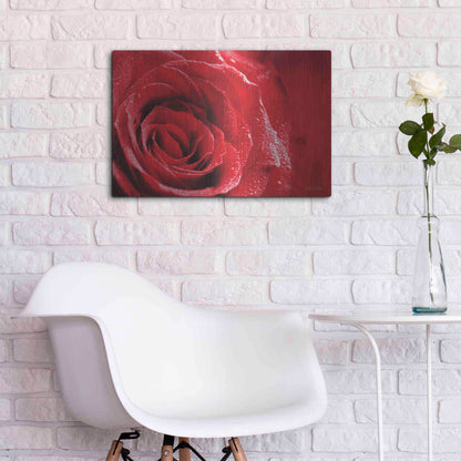 Luxe Metal Art 'Red Rose After Rain' by Lori Deiter, Metal Wall Art,24x16